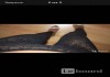 Фото Лосины новые northland италия 44 46 м черные кружева гипюр стретч брюки леггенсы леггинсы женские ле
